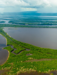 Amazonasbecken