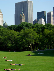 Picknick-Central-Park