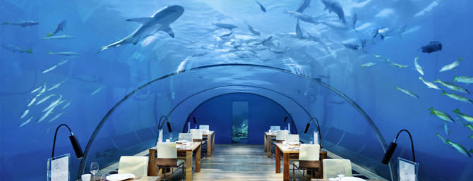 Unterwasserrestaurant Conrad Rangali Maldives