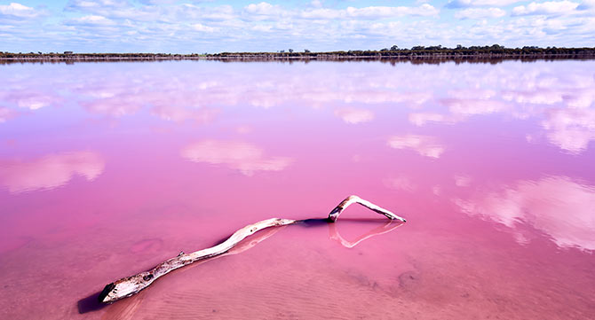 670x361_australien_pink_lake_hillier