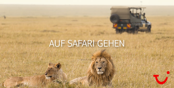 Safari