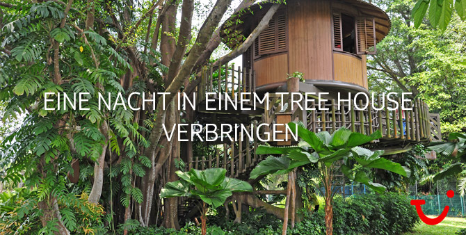Tree-house