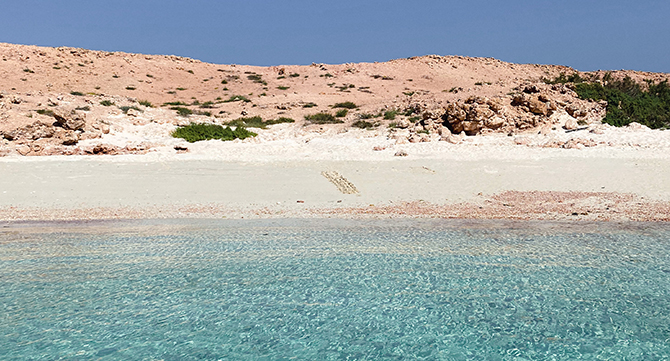 Daymaniyat-Islands-Strand