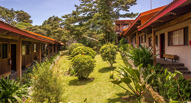 Selina_Monteverde2_blog