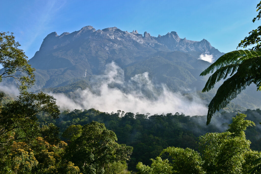 Kota,Kinabalu (Mount Kinabalu)