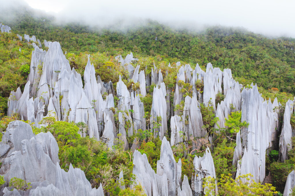 Limestone and Pinnacles at Gunung Mulu National Park